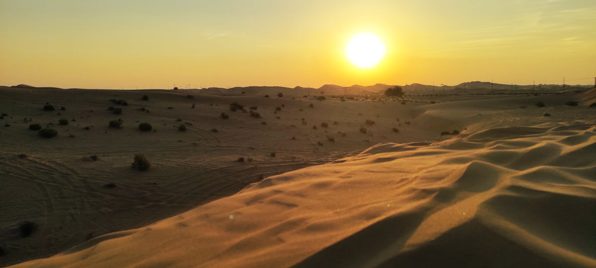 Sáráné Veres Klára