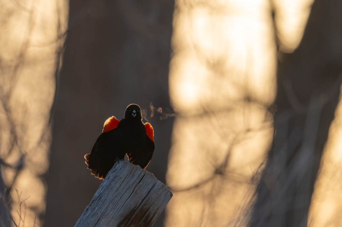 Agócs Fruzsina Júlia