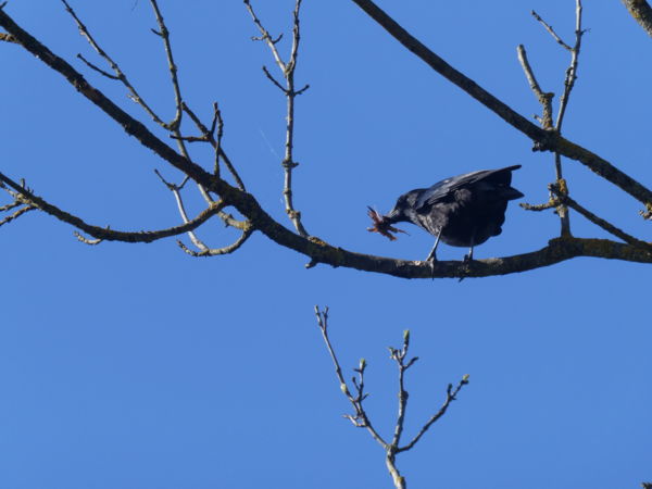 Építőanyag gyűjtés