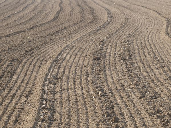 Kanyargó párhuzamosok