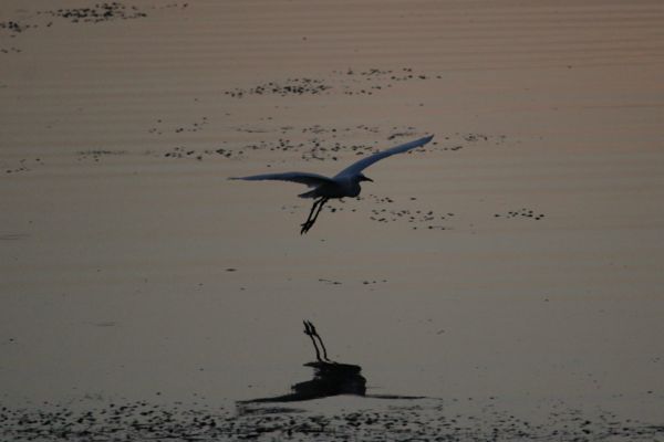 Érkezés nyugovóra