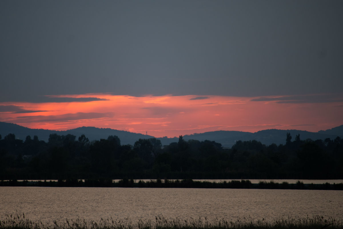 Szekérné Dr Bók Anikó