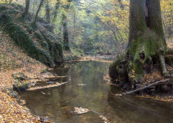 Őszi patak