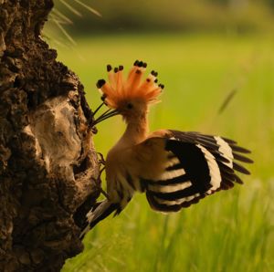 Itt a "desszert" kedvesem. Itt a "desszert" kedvesem.