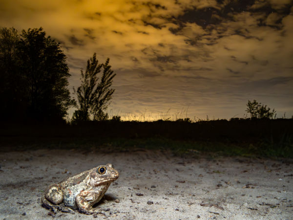 Elmerült gondolatok