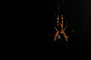 Munka a sötétben Munka a sötétben