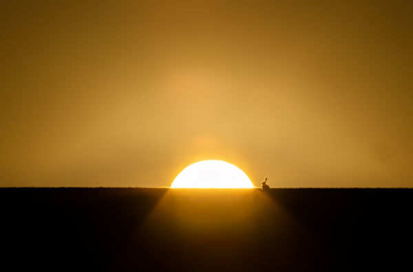 A Nap Utolsó Érintése 