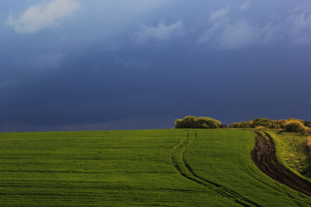 Sáráné Veres Klára