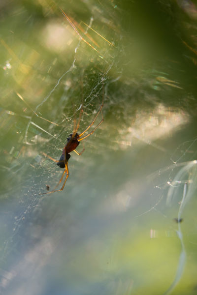 Valahol az univerzumban