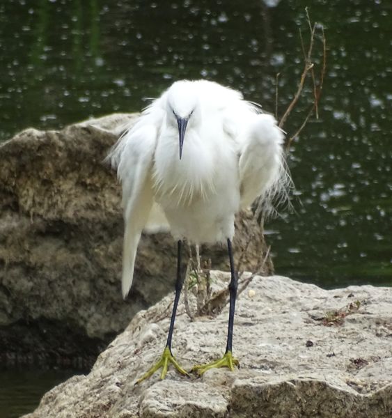 „Na, ki zavarta meg a fodrászidőmet?”