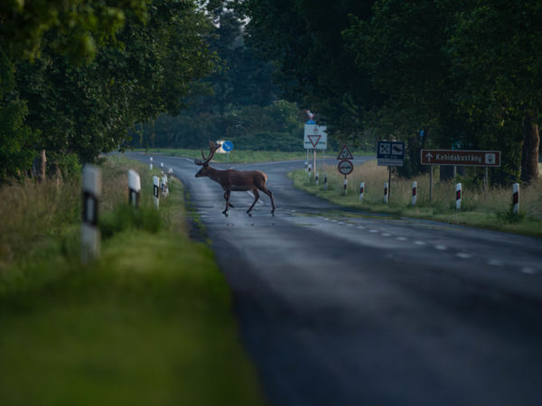 A 76-os út és a váltó