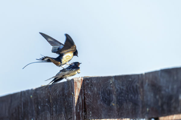 Egy kis hátmasszázs
