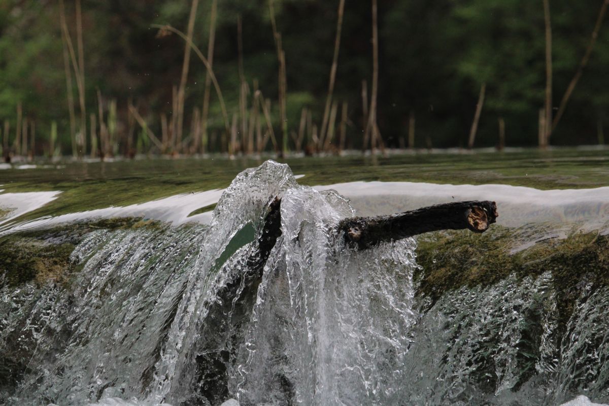 Seres Ádám Zoltán