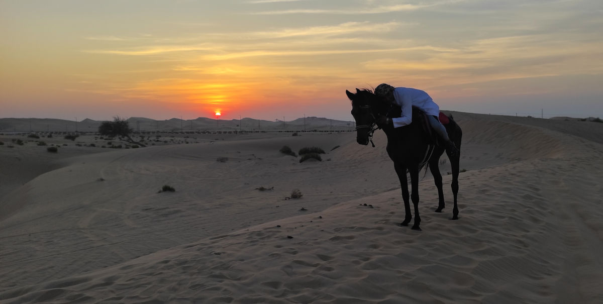 Sáráné Veres Klára