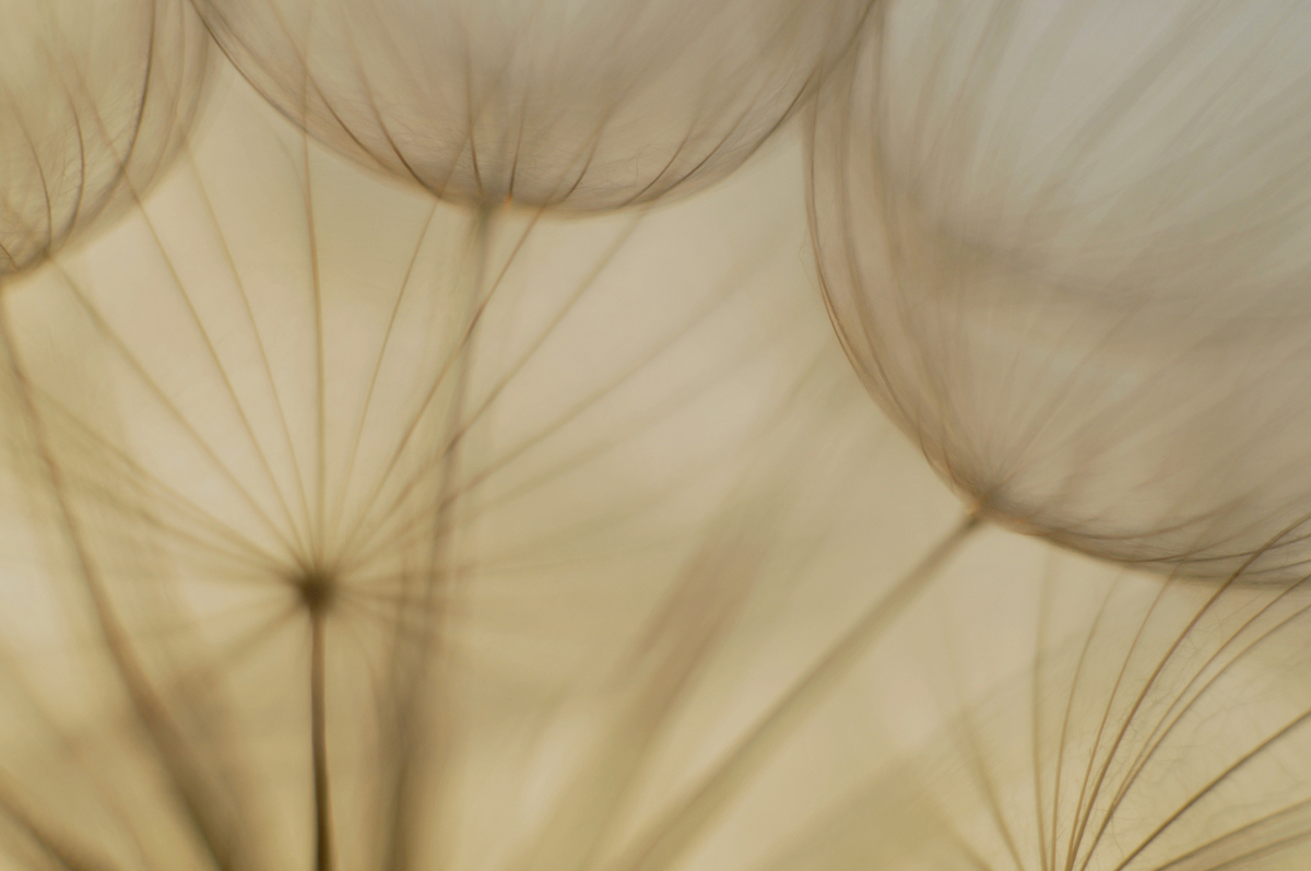 Gaál Zoltán Péter