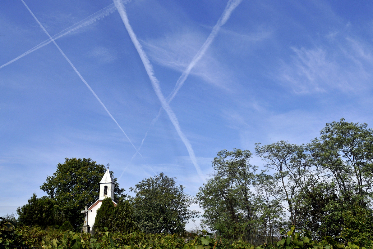 Gaál Zoltán Péter