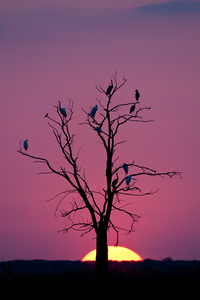 Társbérlet  Társbérlet