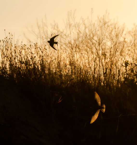Fényben és árnyékban