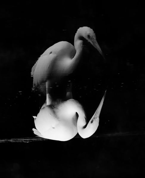 Alternatív valóság