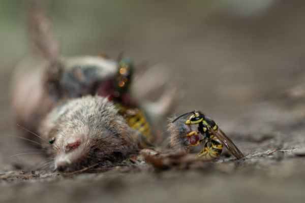 Az élet körforgása