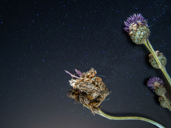 Egy álomvilág ölelése