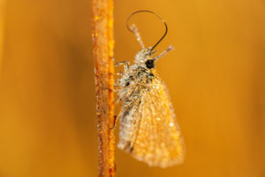 Nyújtózkodni jó! Nyújtózkodni jó!