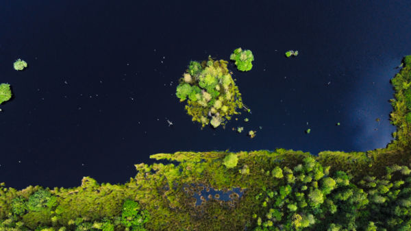 Felülről a lápvidék