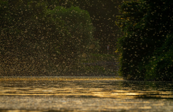 Kompenzációs repülésa folyókanyarban