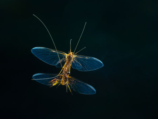 Szerelem a levegőben