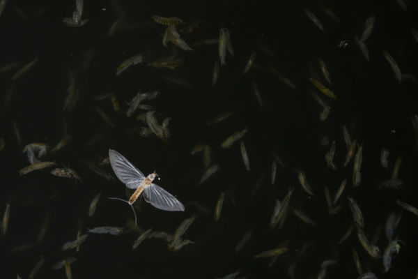 Találkozás két világ határán