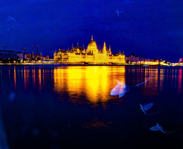 Az égig és még tovább