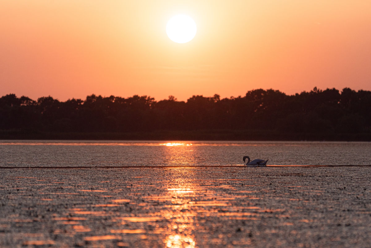 Darányiné Bakos Éva