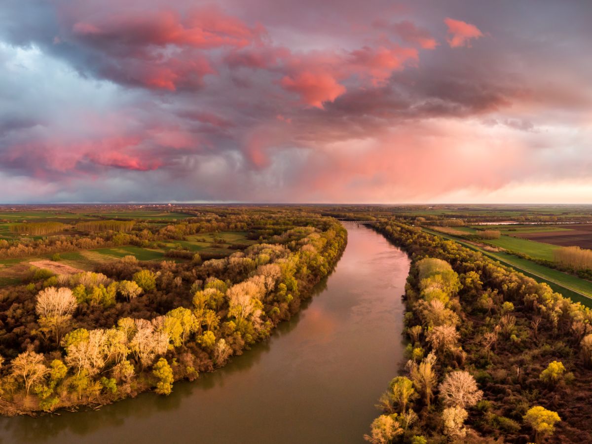 Koncz-Bisztricz Tamás