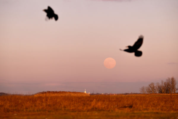 Holdtölte a Pusztán