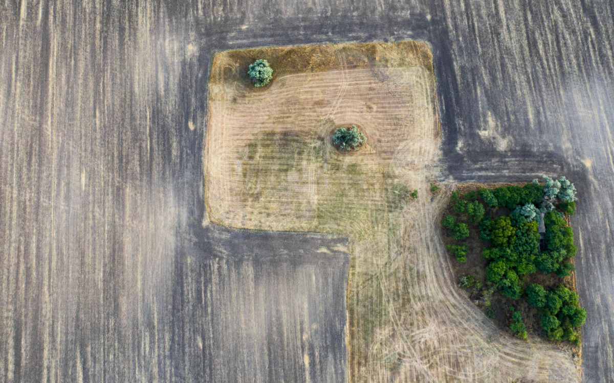 Koncz-Bisztricz Tamás