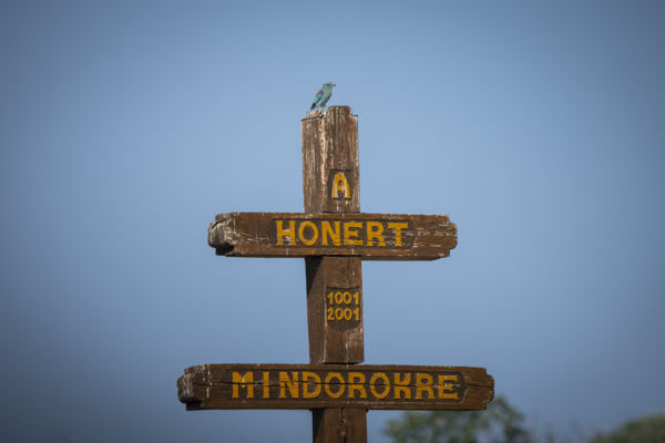 A HON őrzője