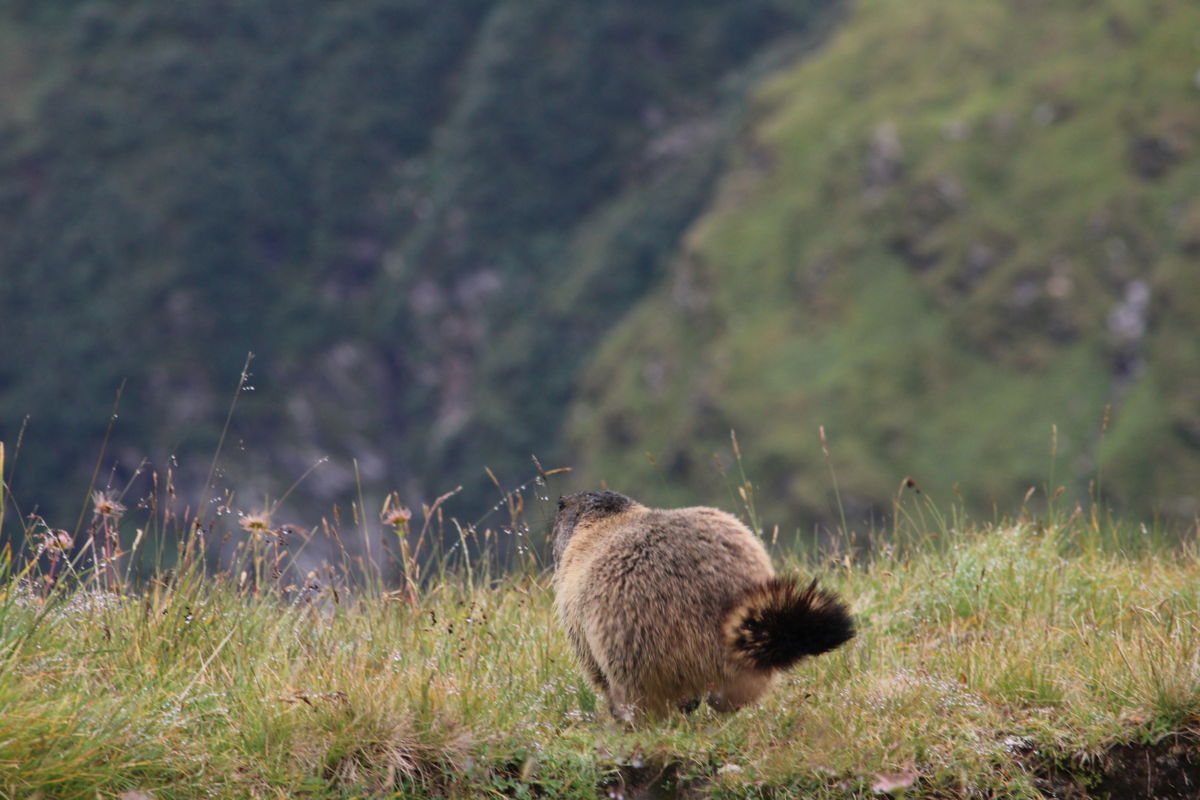 Seres Ádám Zoltán