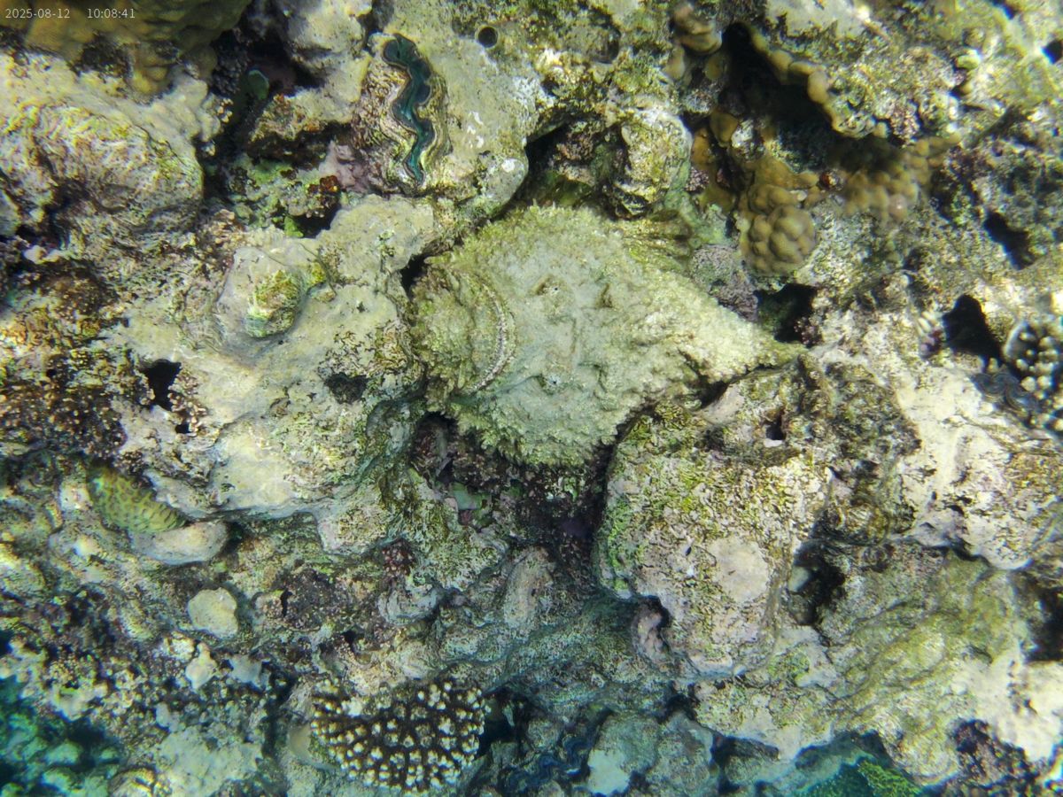 Szabó Gabriella Katalin