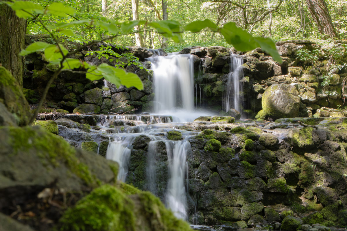 Oszlánszki Máté Attila