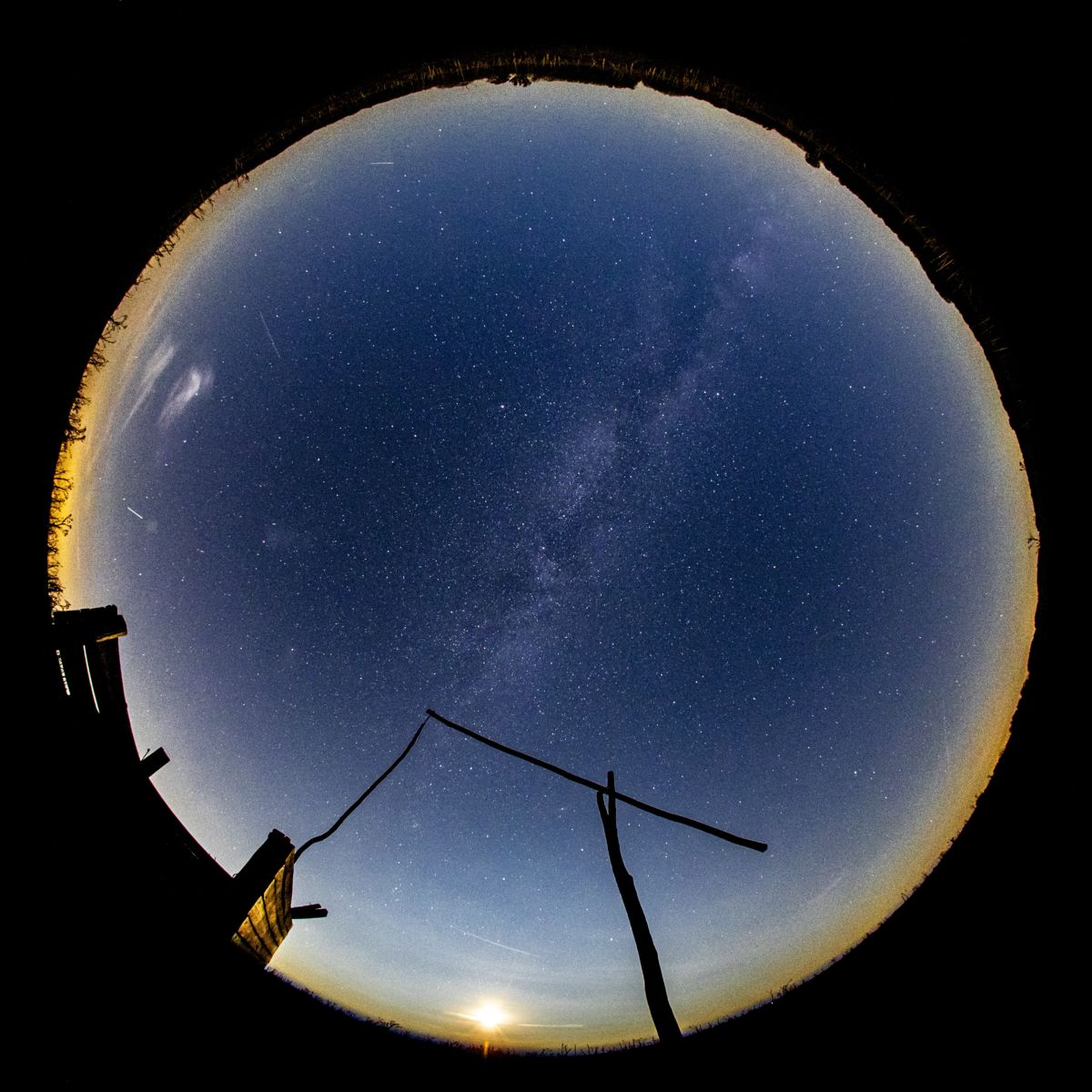 Koncz-Bisztricz Tamás