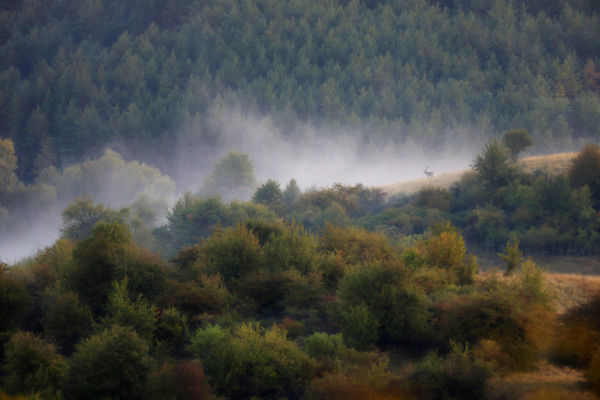 Szeptemberi látomás