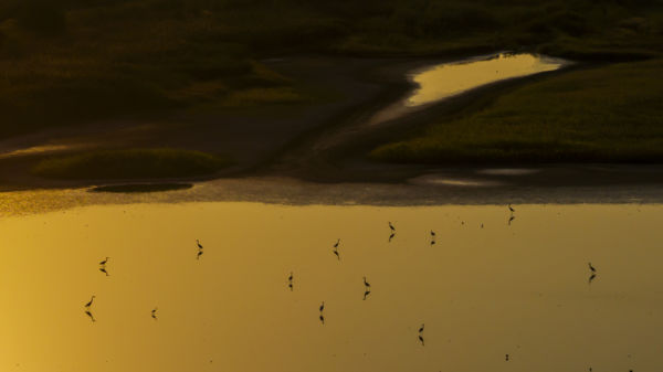 Csoportkép profilból