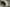 A bokeh csendje