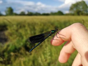 Egy szép barátság kezdete...