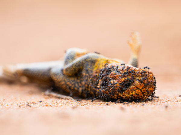 Az élet körforgása