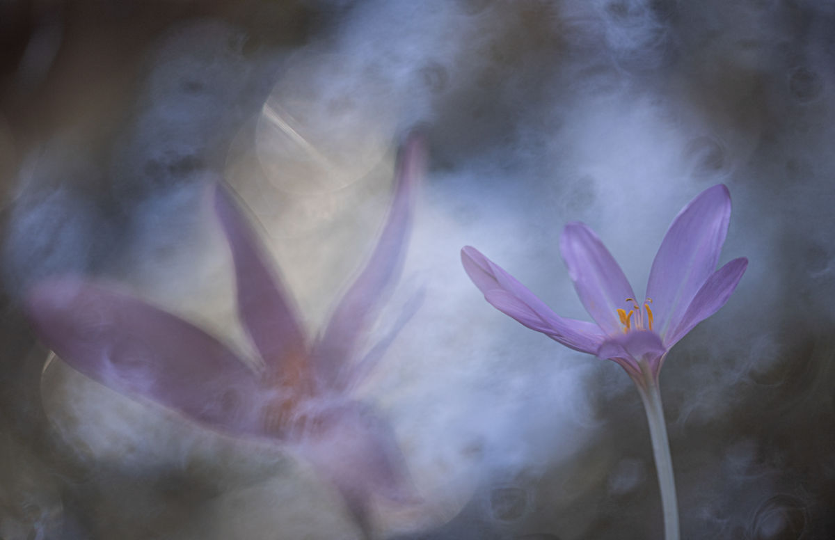 Darányiné Bakos Éva