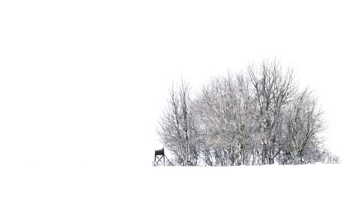 Teodóra Fellegvári