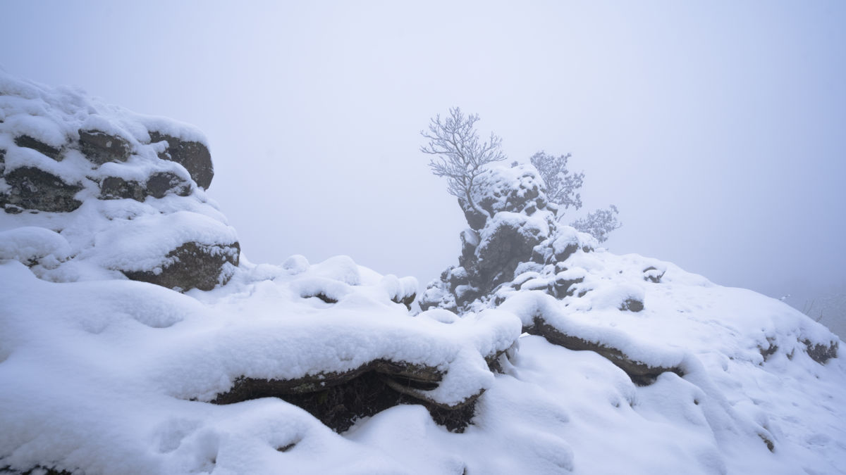 Dankházi Dániel Norbert