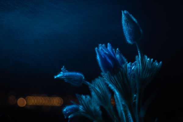 Fényedből fénysugár 