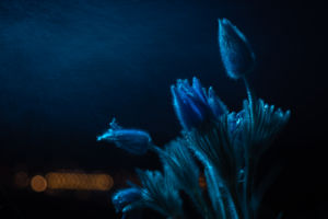 Fényedből fénysugár 